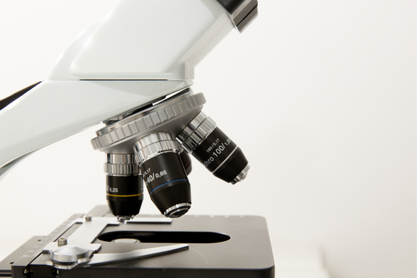 Microscope used for medical testing and diagnostics